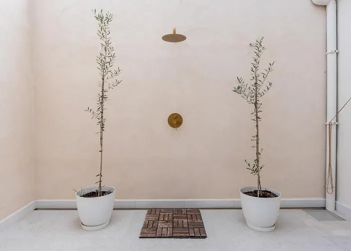 公寓 Buganvillas 11 马尔韦利亚